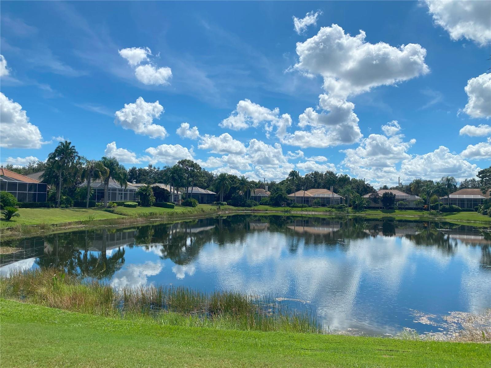 UNIVERSITY PARK - Residential