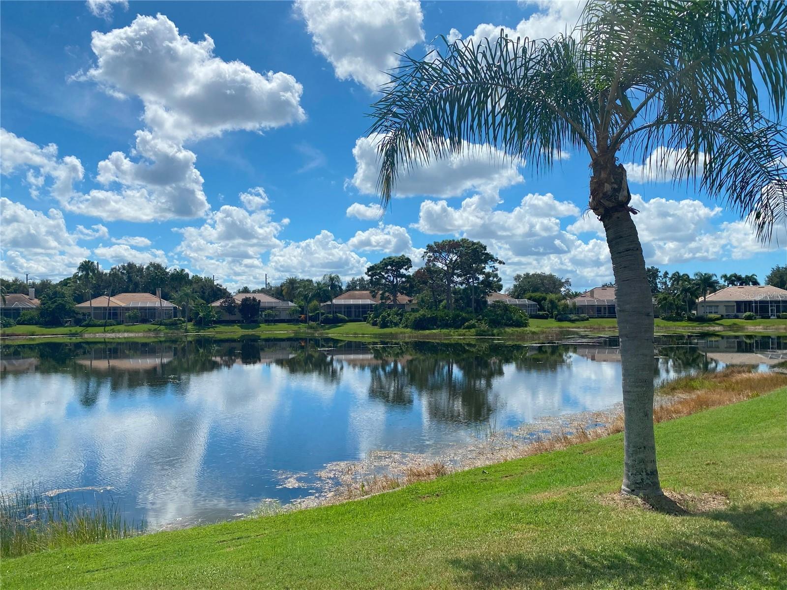 UNIVERSITY PARK - Residential