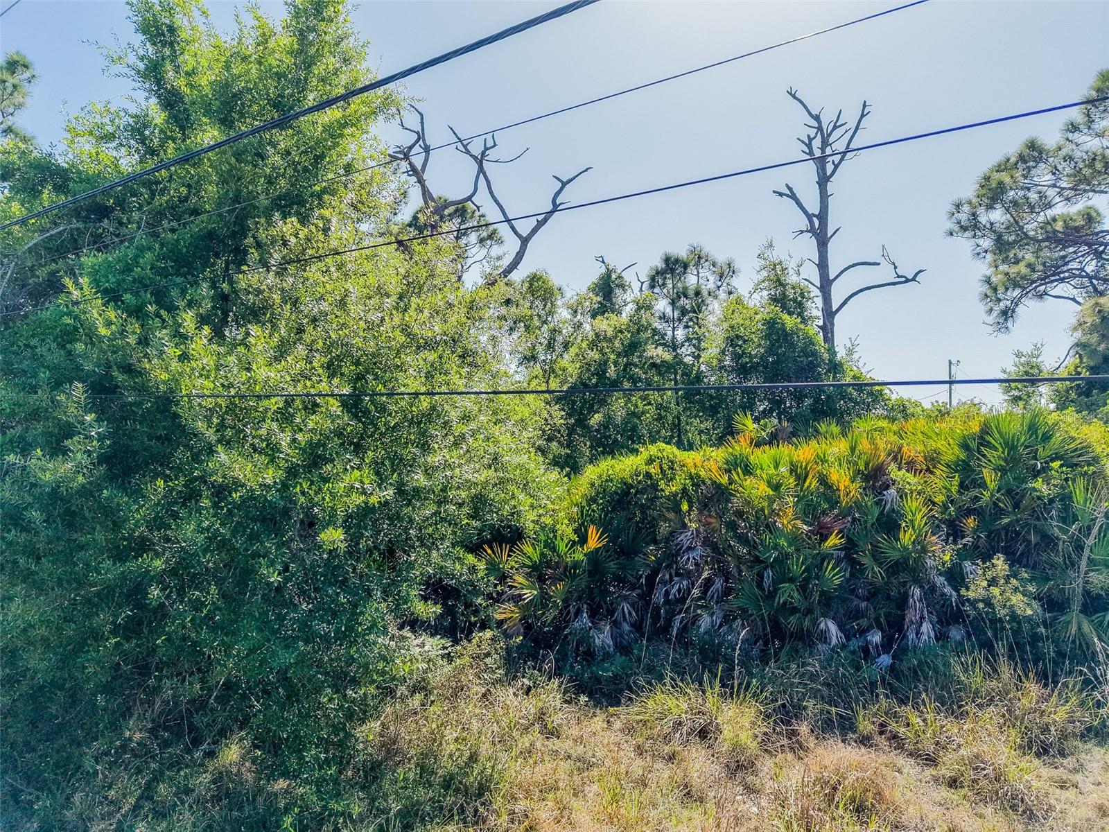 ROTONDA HEIGHTS - Land