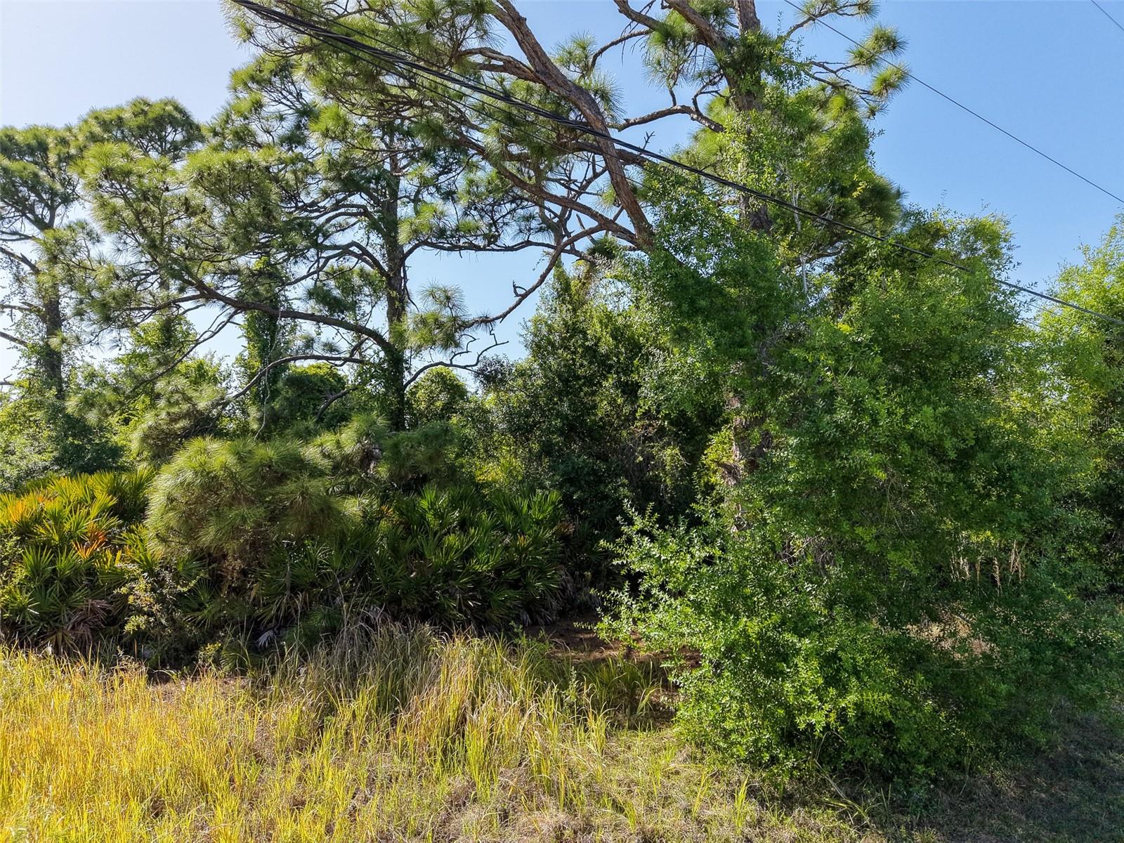 ROTONDA HEIGHTS - Land