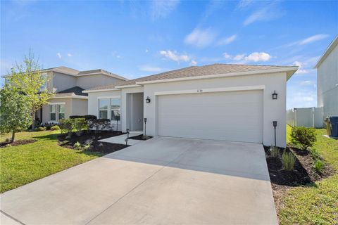 Photo of 1135 Calico Pointe Circle, Groveland, FL 34736 (MLS # O6392866)