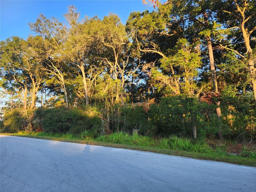 Build your dream home in the growing community of Silver Springs Shores! This 0.23-acre lot on Cedar Trace offers the perfect blend of peace, privacy, and convenience. Nestled among new and established homes, the property features paved road access and is surrounded by natural beauty. Enjoy nearby amenities including shopping, schools, parks, and the Silver Springs Shores Community Center with pool, fitness area, and activities for all ages. Easy commute to downtown Ocala, Belleview, and The Villages. Whether you’re planning your forever home or an investment property, this parcel offers endless potential in a fast-developing area.