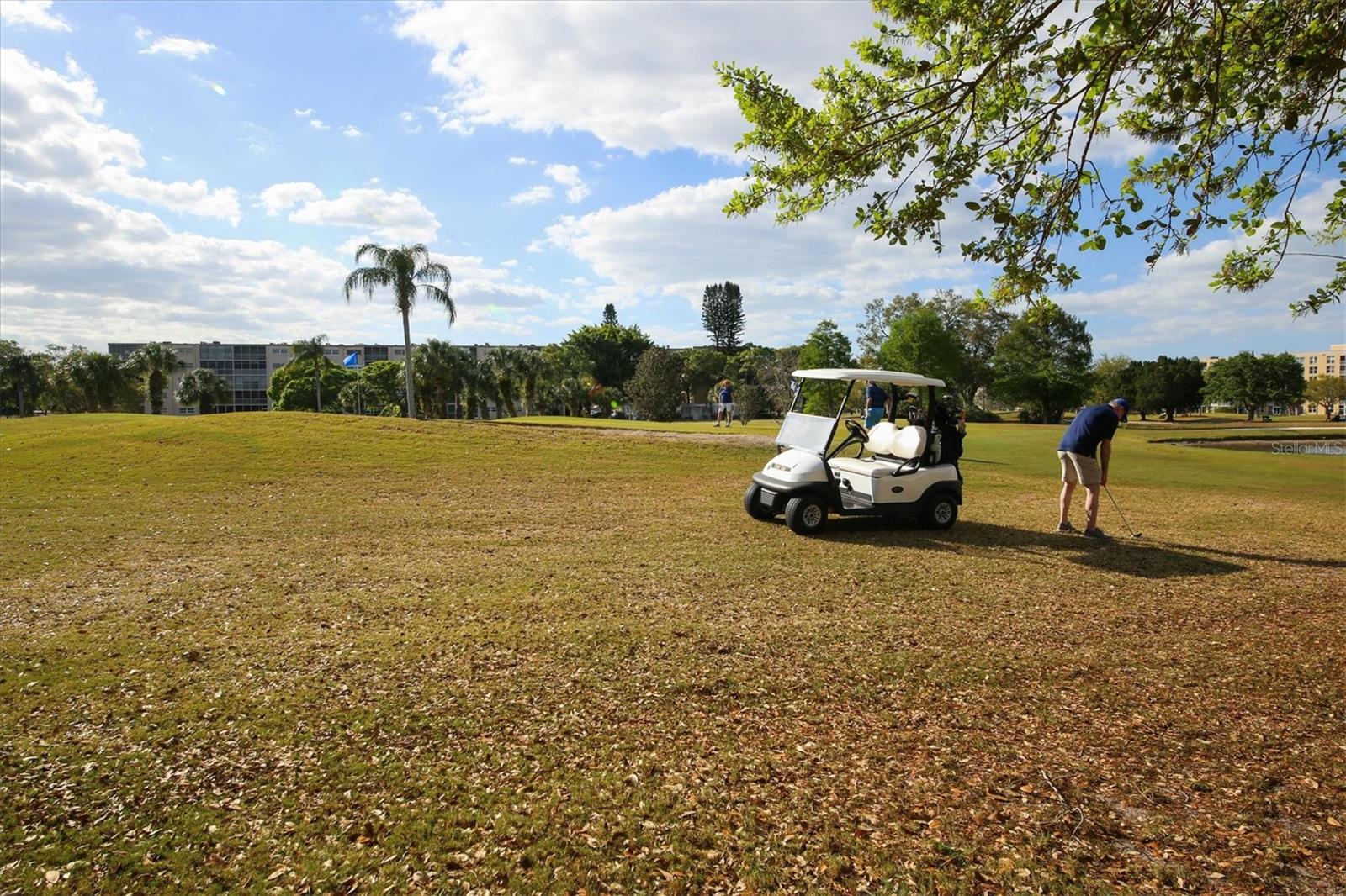 THE FAIRWAYS AT PINEBROOK PHASE II - Residential