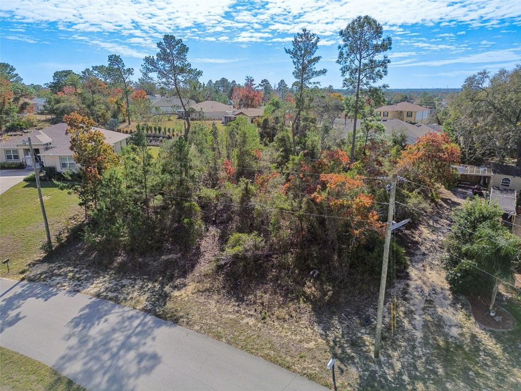Photo of 13014 Hanley Drive, Spring Hill, FL 34609 (MLS # TB8461316)