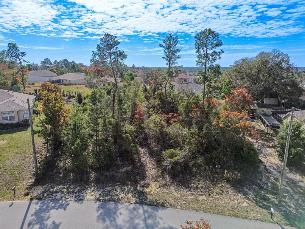 Photo of 13014 Hanley Drive, Spring Hill, FL 34609 (MLS # TB8461316)