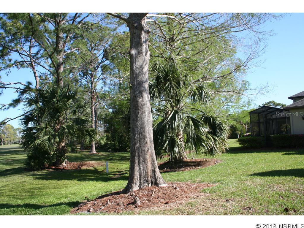 Wedgewood At Spruce Creek - Residential