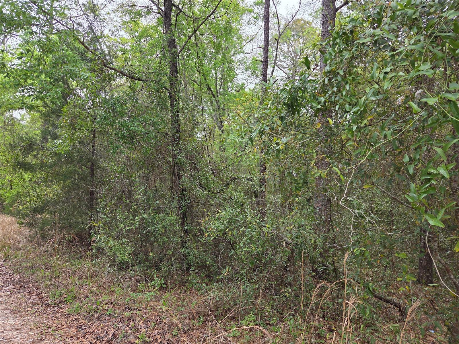 0000 NE 138TH TERRACE