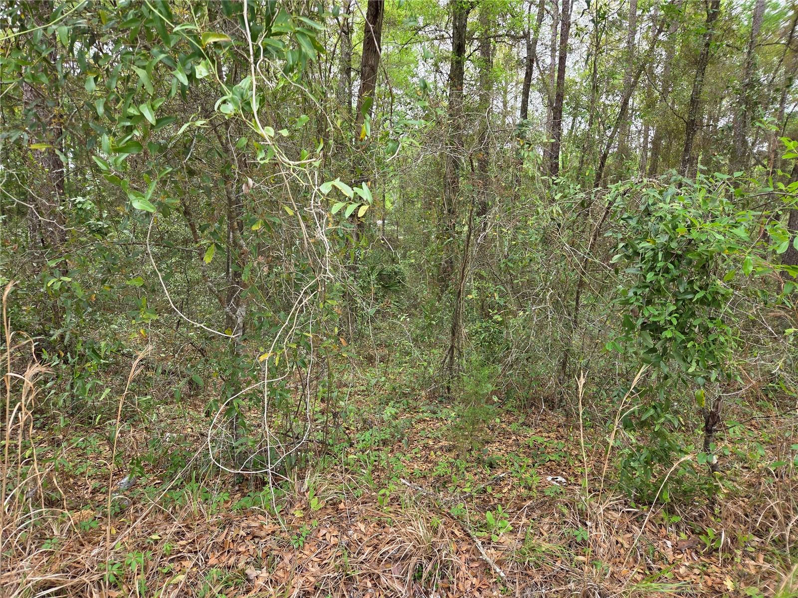 0000 NE 138TH TERRACE