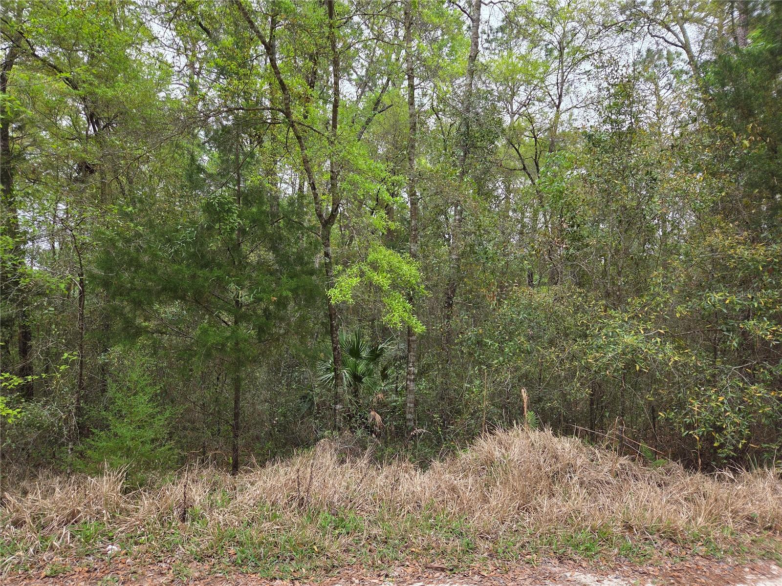 0000 NE 138TH TERRACE