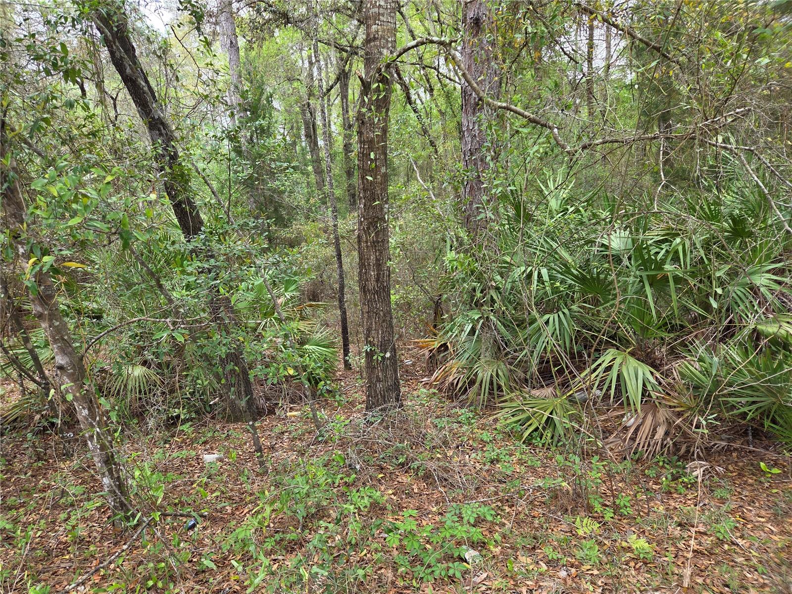 B & R S/D UNIT 6 - Land