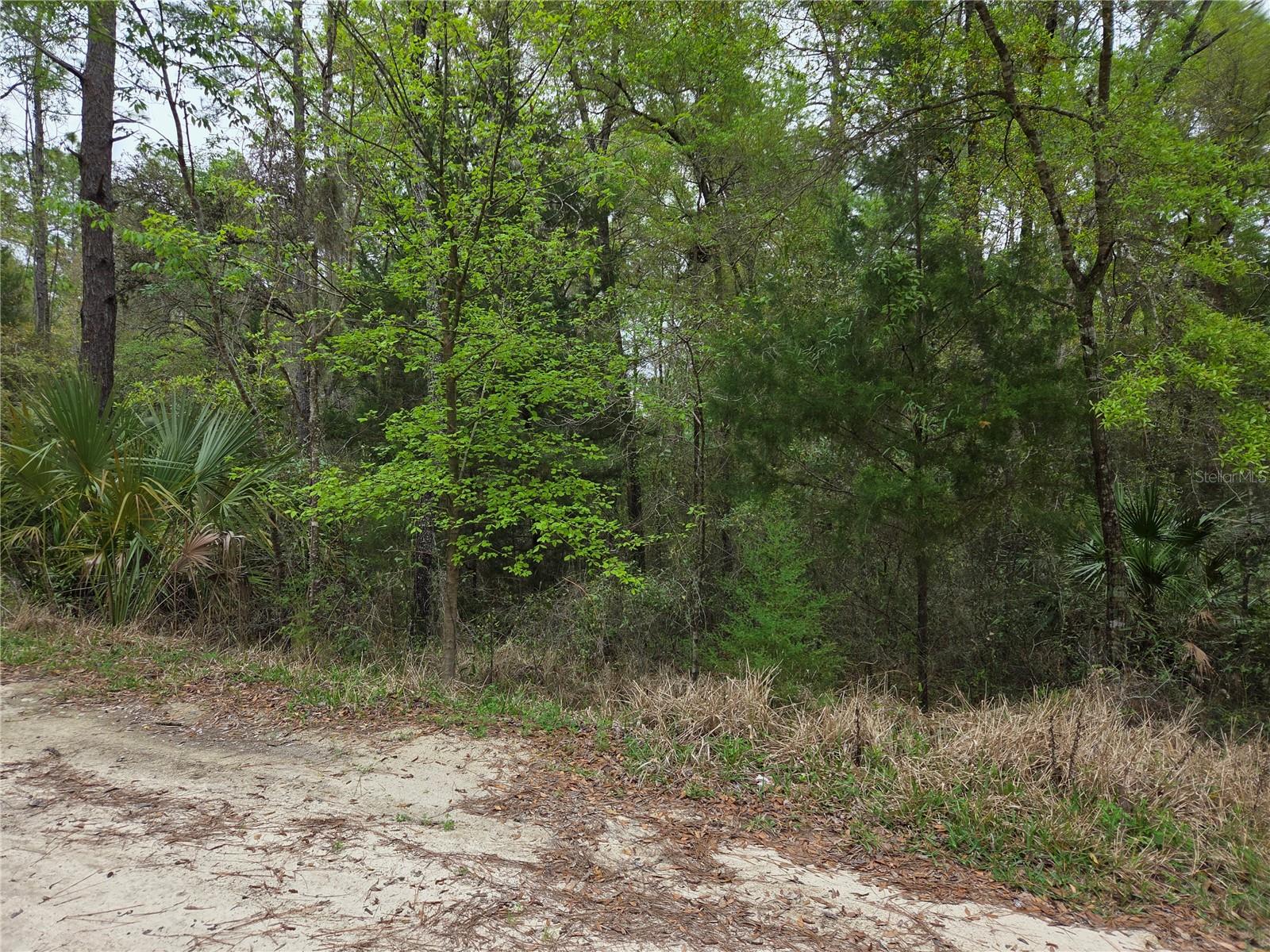 0000 NE 138TH TERRACE