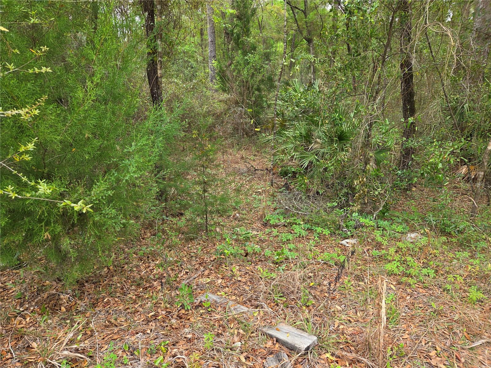 B & R S/D UNIT 6 - Land