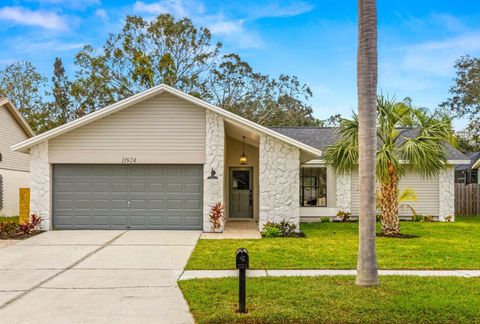 A home in TAMPA