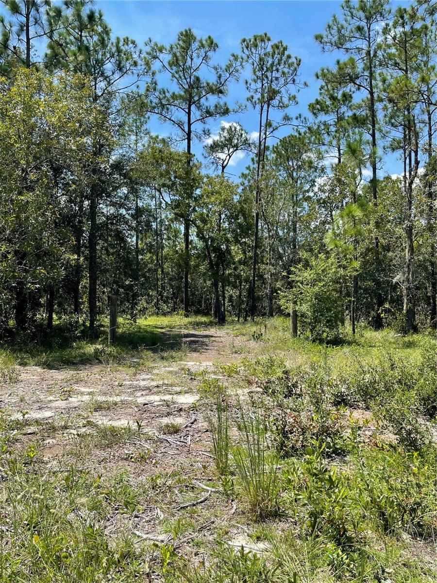 PINEY HILLS FARM - Land