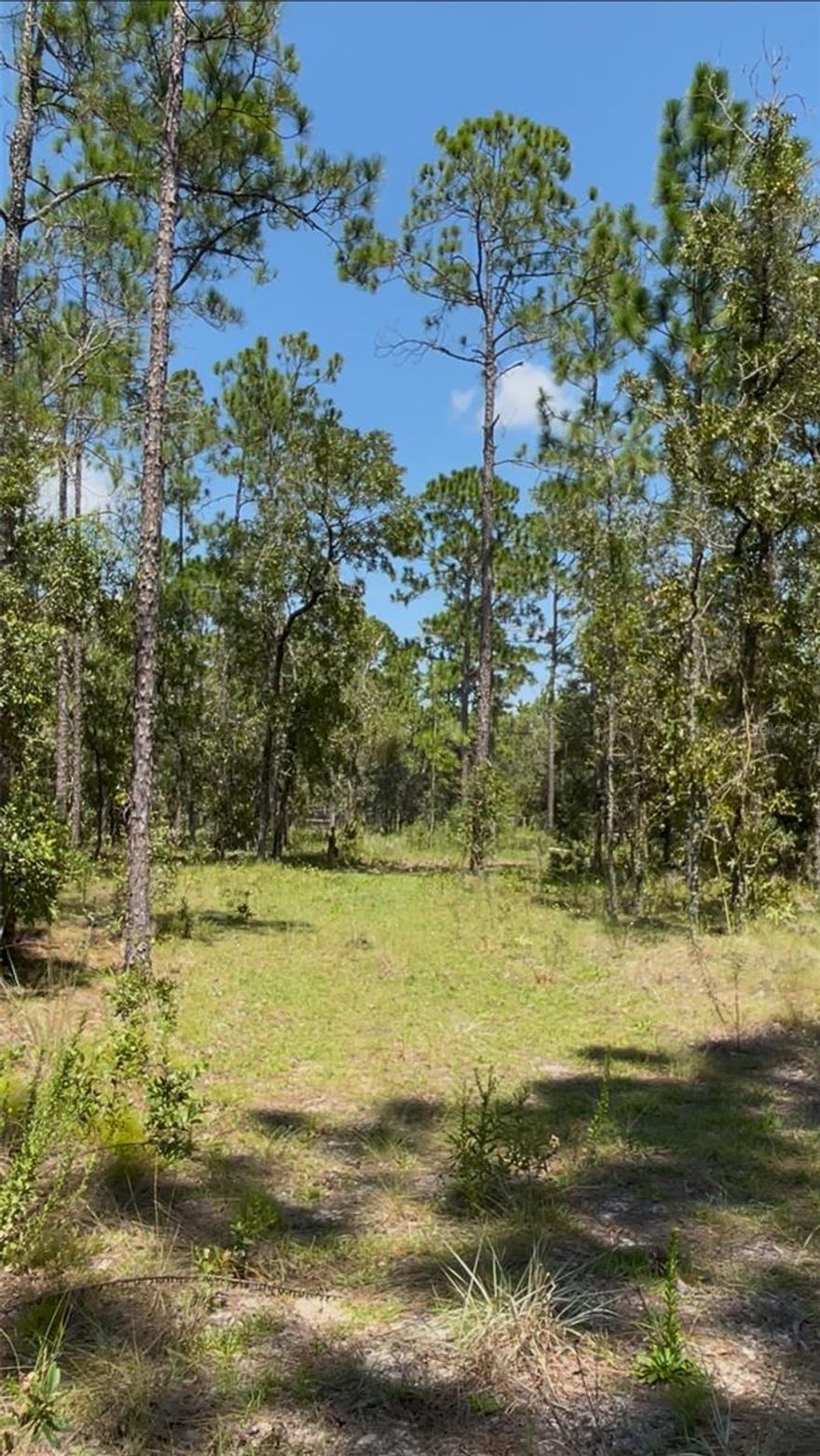 This 5-acre lot in Dunnellon, Florida offers a fantastic opportunity for building your dream home. Zoned for single-family use, the property is high and dry. Situated near the Stunning Rainbow Springs State Park,  you'll enjoy the beauty of nature. The lot is conveniently located 20-30 drive from Marion County Airport, Ross Prairie State Forest, KP Hole, Blue Run Park offering easy access to outdoor activities, healthcare (AdventHealth), shopping and local Restaurants. Perfect property for those seeking privacy and adventure.....