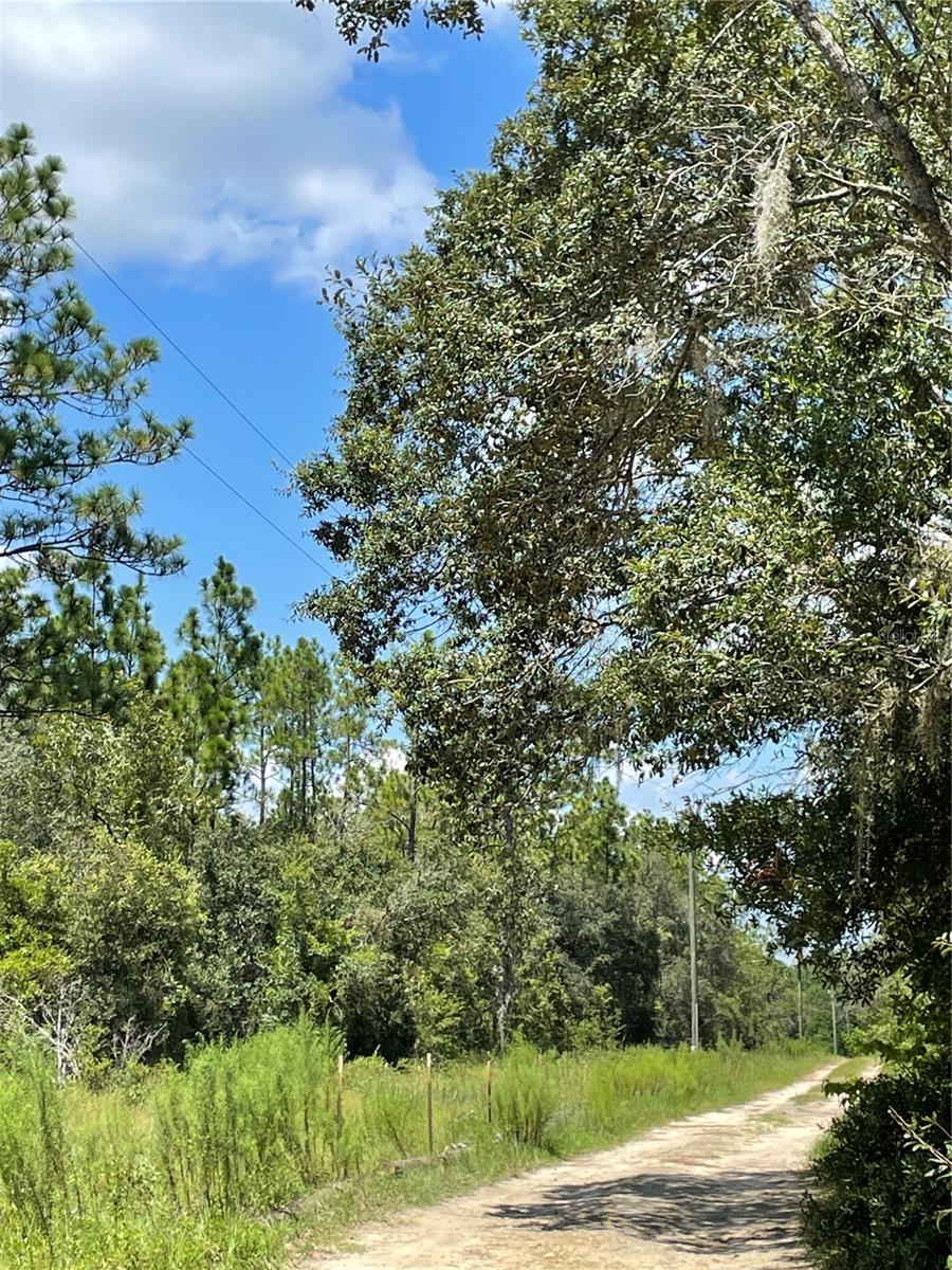 PINEY HILLS FARM - Land