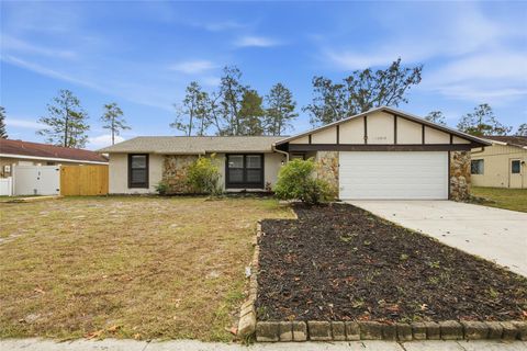 Photo of 10312 Maverick Street, New Port Richey, FL 34654 (MLS # TB8454892)