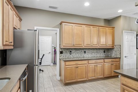 Tiny photo for 508 Narrow View Lane, Groveland, FL 34736 (MLS # O6406226)