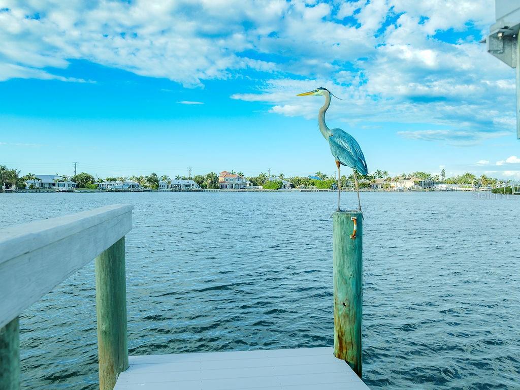 SEASIDE GARDENS - Residential