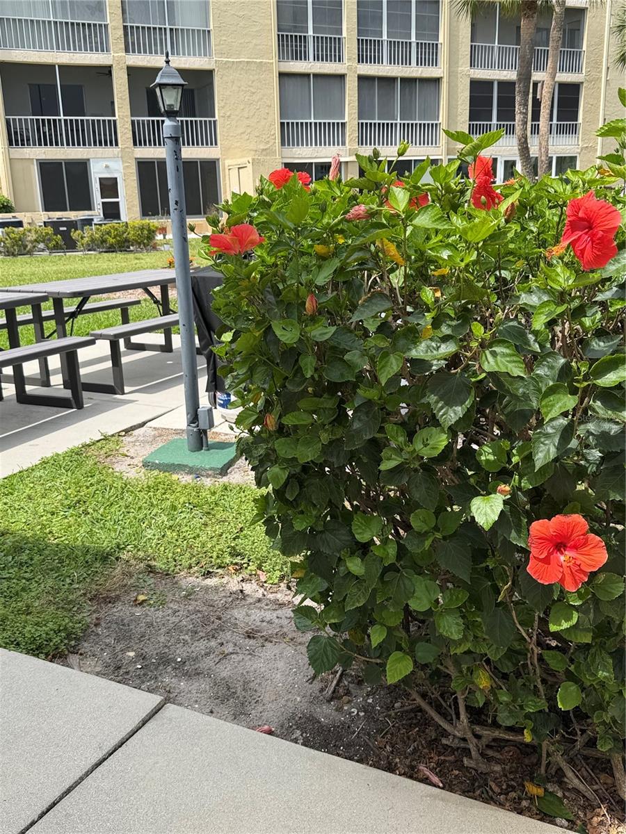 BAYSHORE ON THE LAKE APTS III SEC1 - Residential