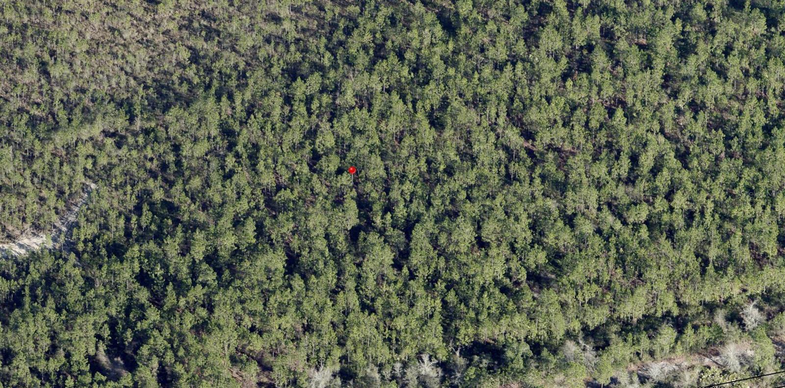 Beautiful land parcel with 3 adjacent parcels to equal 45 acres of available uninhabited and undeveloped land for sale. Located in the city limits of Baldwin, Florida and in Duval County this parcel and the adjacent parcels have endless possibilities. This Baldwin property is 30 mins from Jacksonville International Airport and 20 mins from downtown Jacksonville. Adjacent to this property is the Jacksonville-Baldwin Rail Trail which is a 14.5 mile paved trail connecting Jacksonville to Baldwin, Florida, that runs through a mix of residential, rural, and wooded areas. It was established in 1992 on the right-of-way of the former Jacksonville & Southwestern Railroad. The trail offers multiple uses, including hiking, biking, rollerblading, and horseback riding. This property is in a prime location near Baldwin Bypass that allows quick access to interstate I10 and the currently being developed First Coast Expressway, also known as SR 23, a toll road that will connect I-10 to I-95 and bypass the southwest quadrant of Jacksonville.