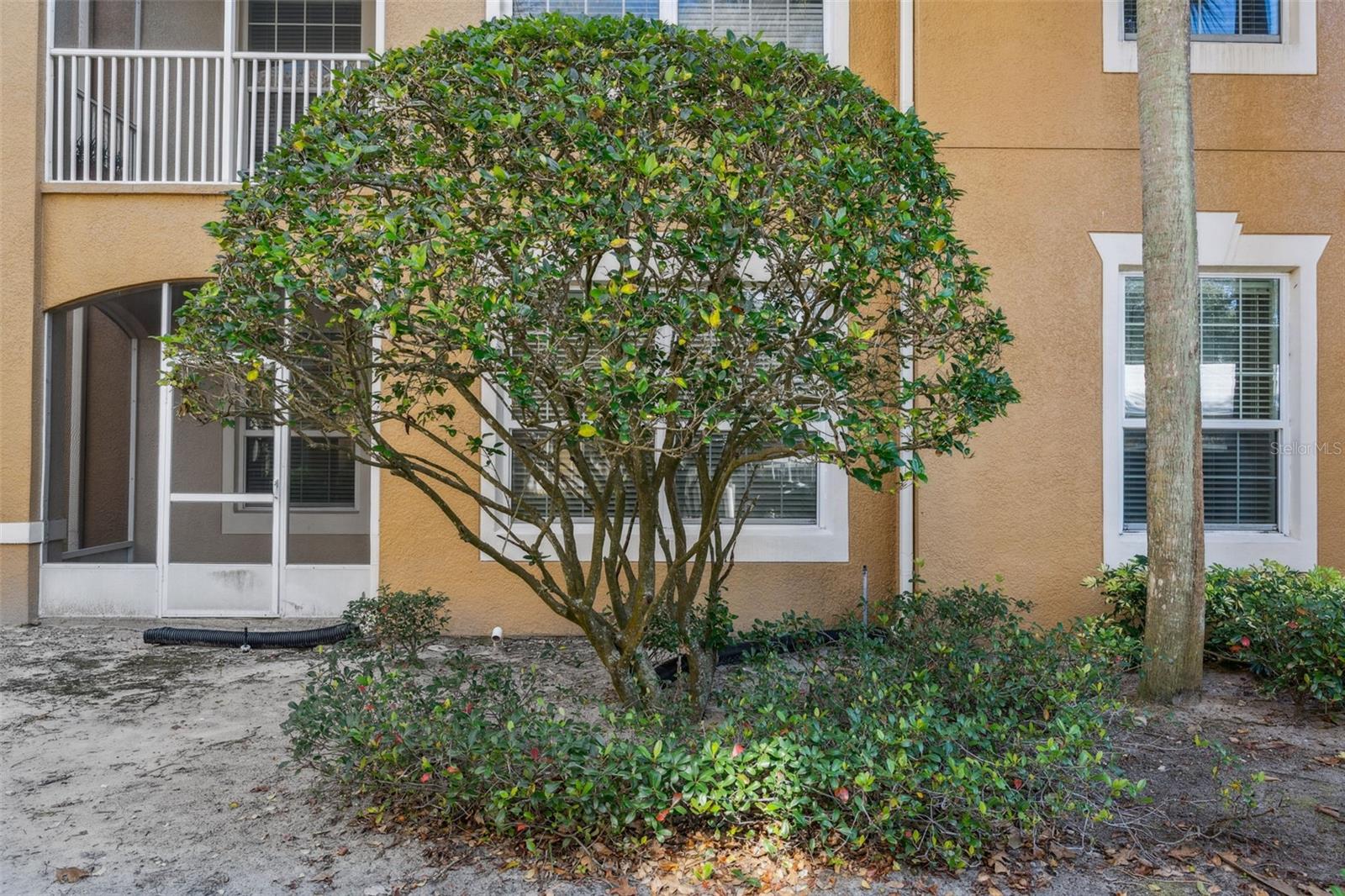 VENTURA/STONEBRIDGE COMMONS PH - Residential