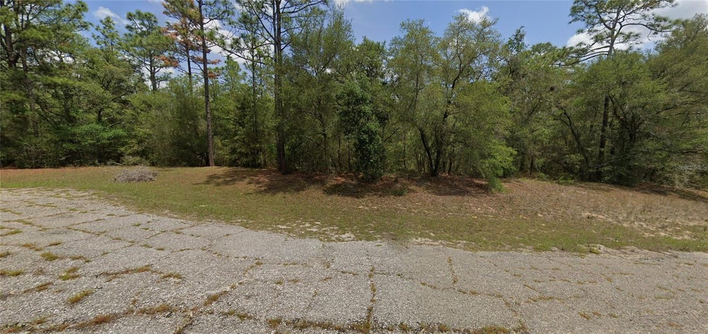 Photo of 403 W Whitmarsh Court, Citrus Springs, FL 34434 (MLS # OM734236)