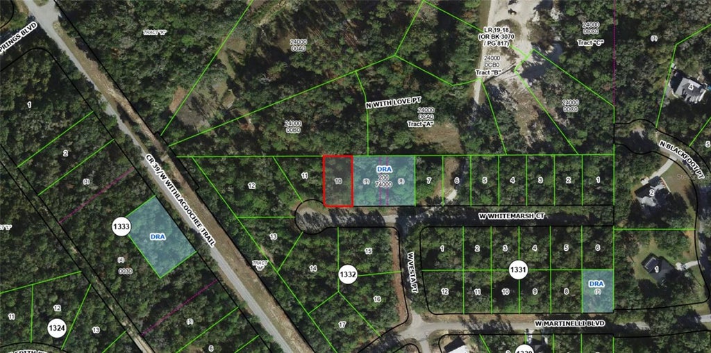 Photo of 403 W Whitmarsh Court, Citrus Springs, FL 34434 (MLS # OM734236)