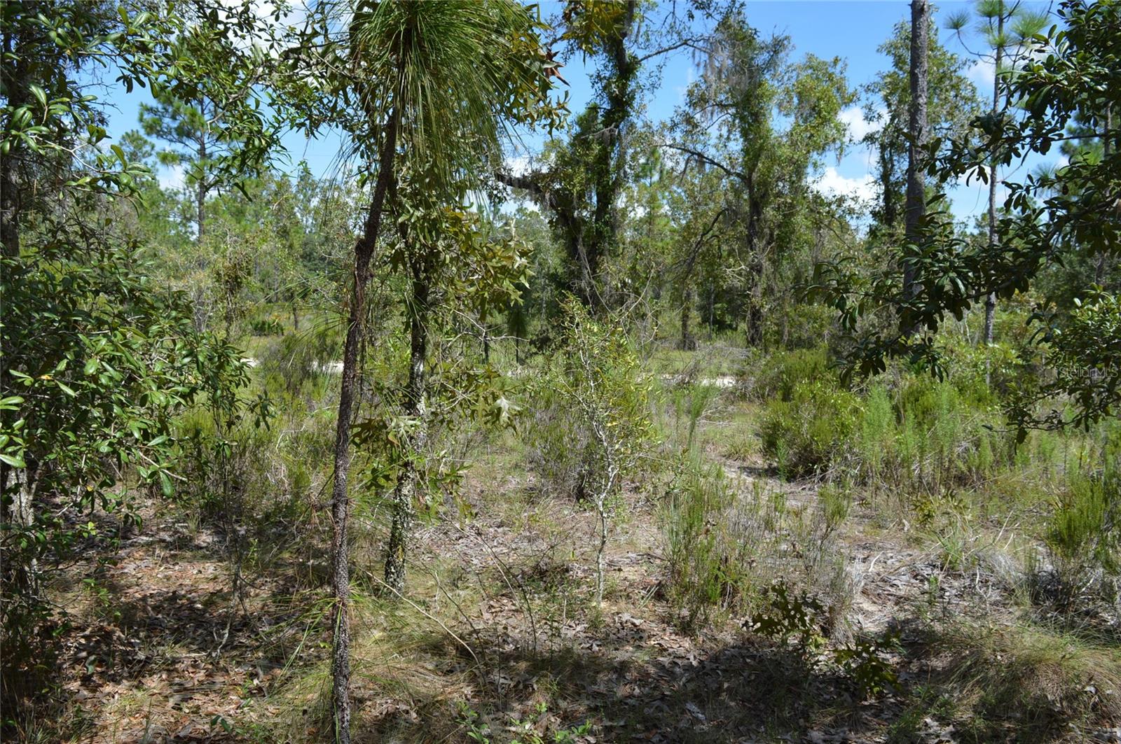 WILLISTON HIGHLANDS - Land