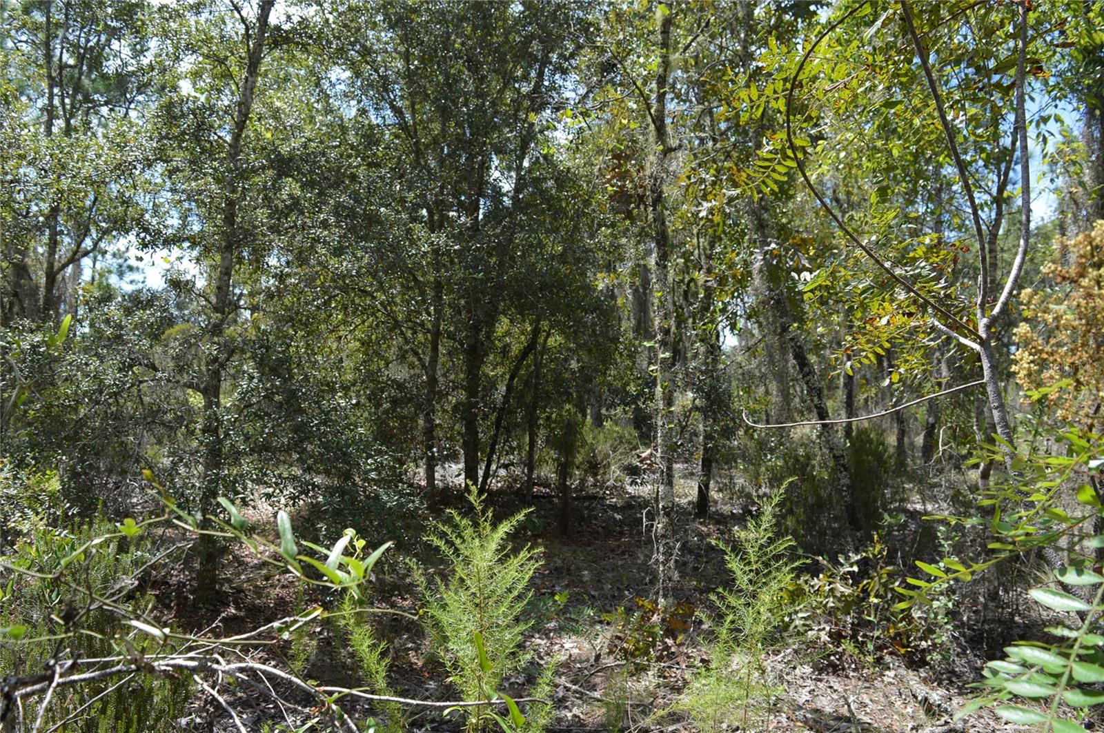 WILLISTON HIGHLANDS - Land