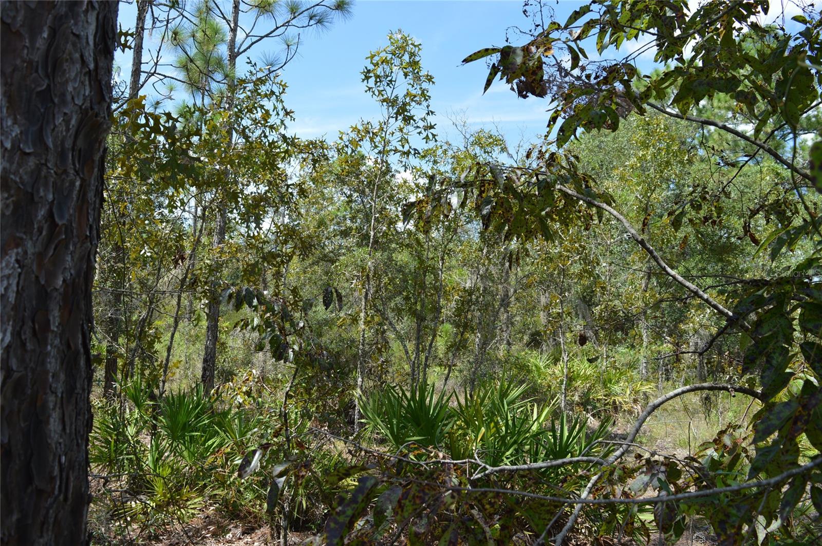 WILLISTON HIGHLANDS - Land