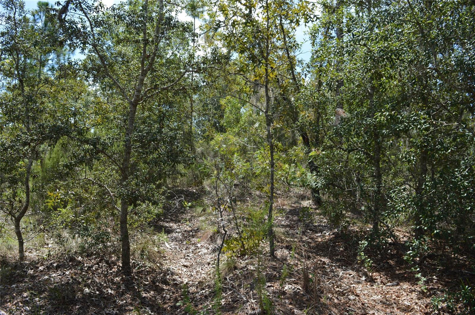 WILLISTON HIGHLANDS - Land