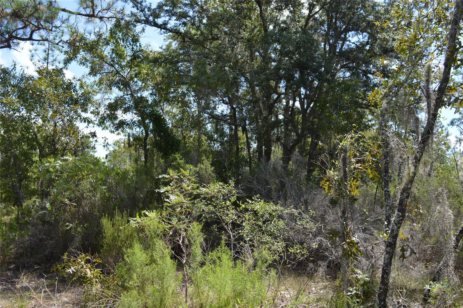 WILLISTON HIGHLANDS - Land