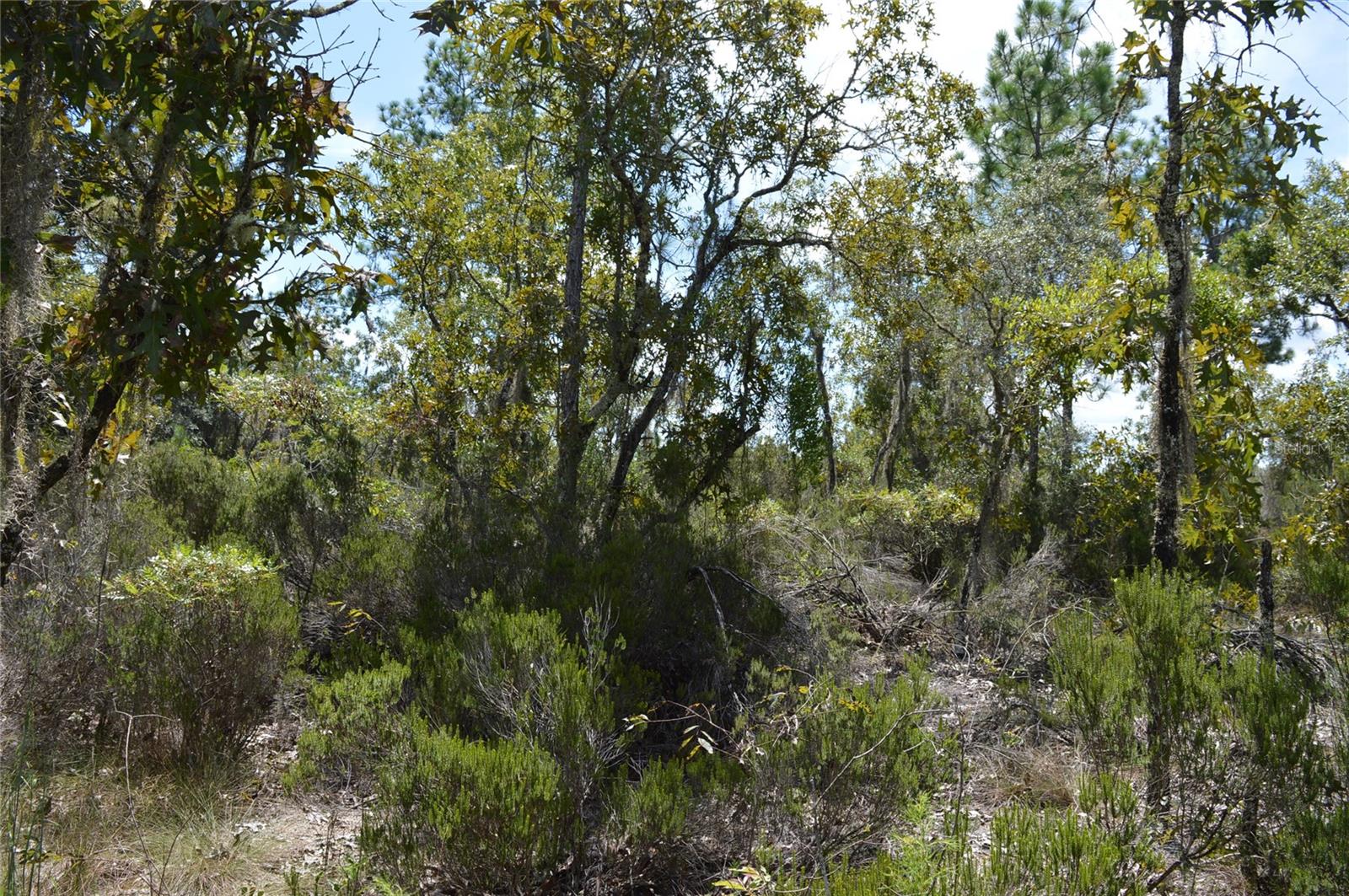 WILLISTON HIGHLANDS - Land