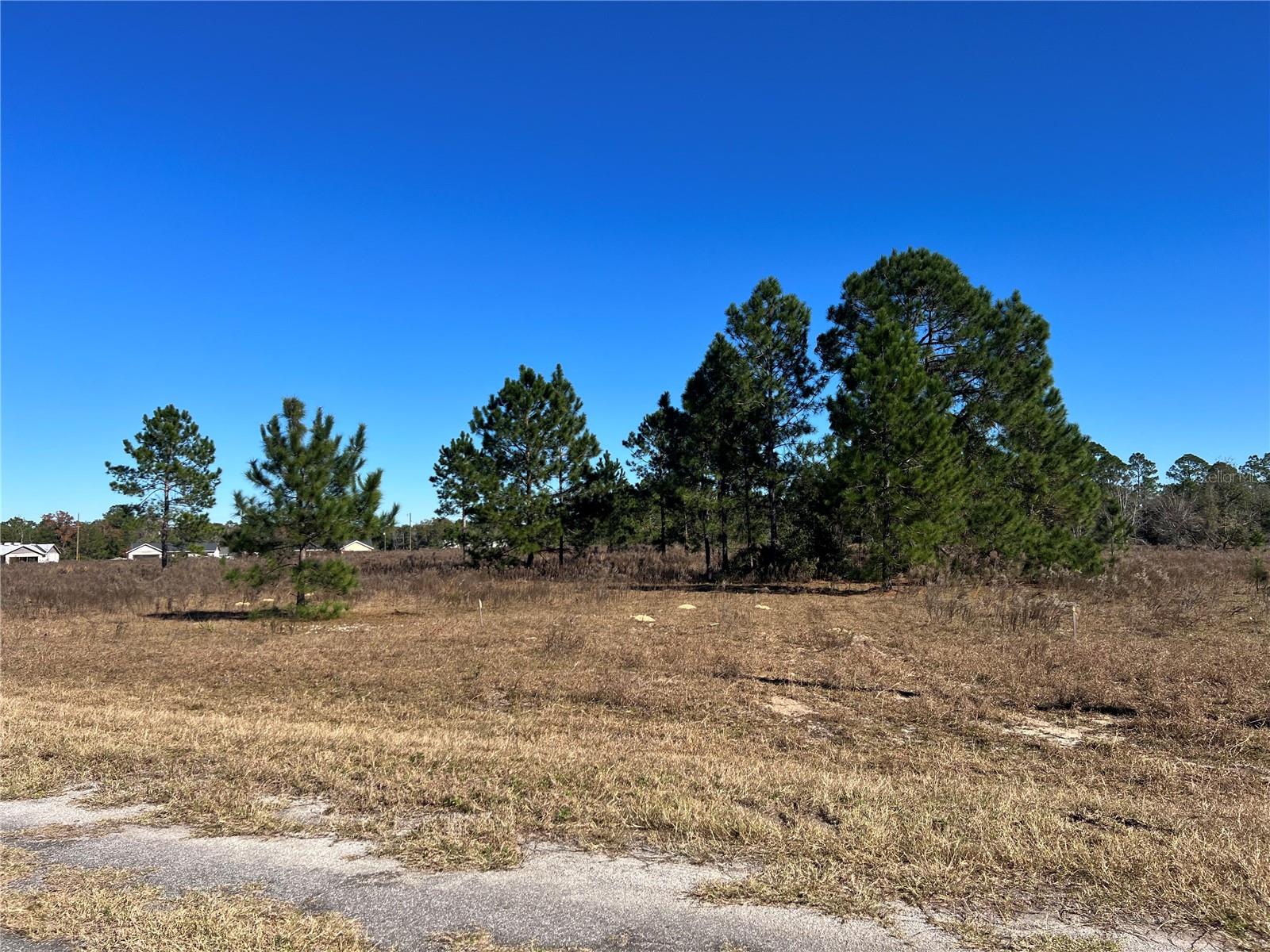 SILVER SPGS SHORES UN 31 - Land