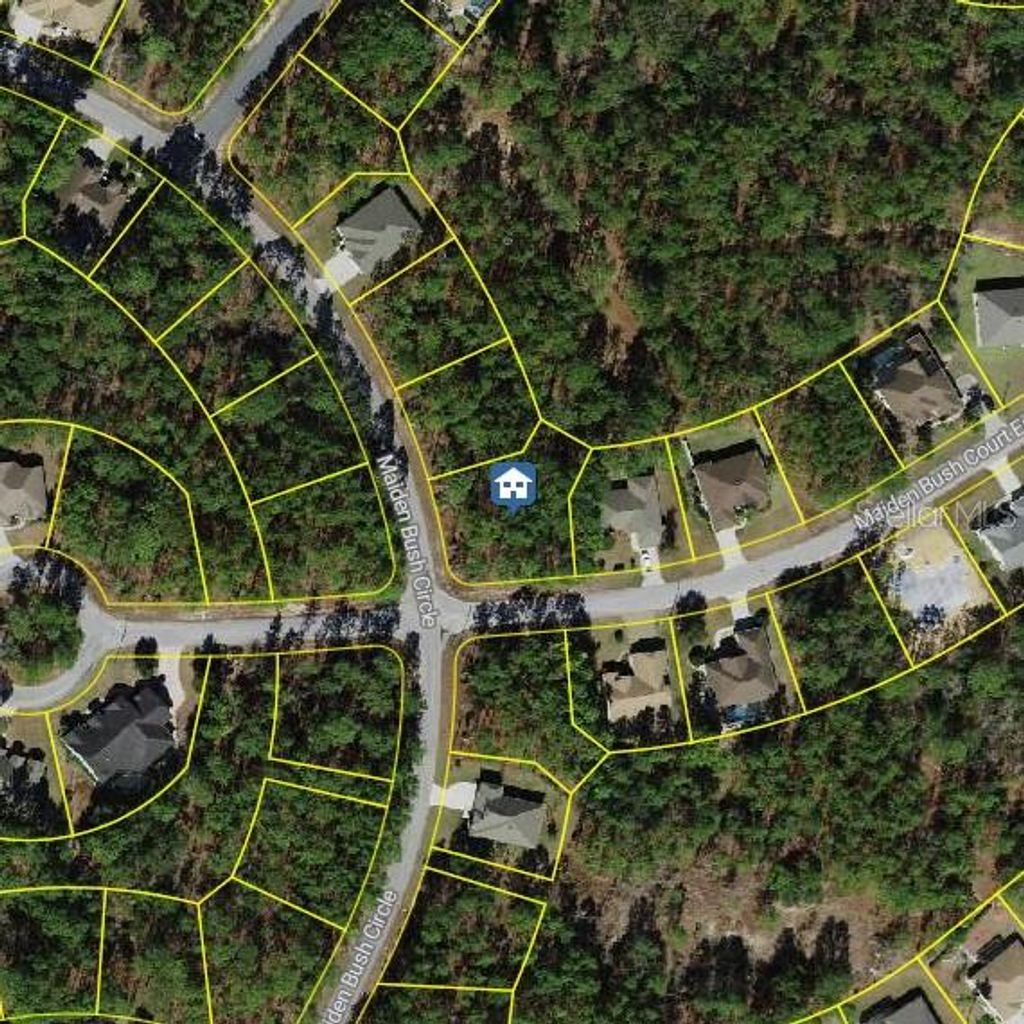 Photo of 2 Maidenbush Court E, Homosassa, FL 34446 (MLS # W7879769)