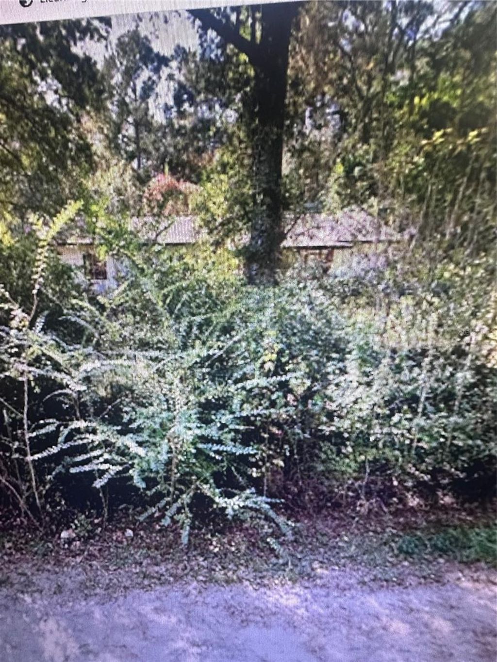 Photo of 2180 Bonifay Gritney Road, Caryville, FL 32425 (MLS # TB8486008)