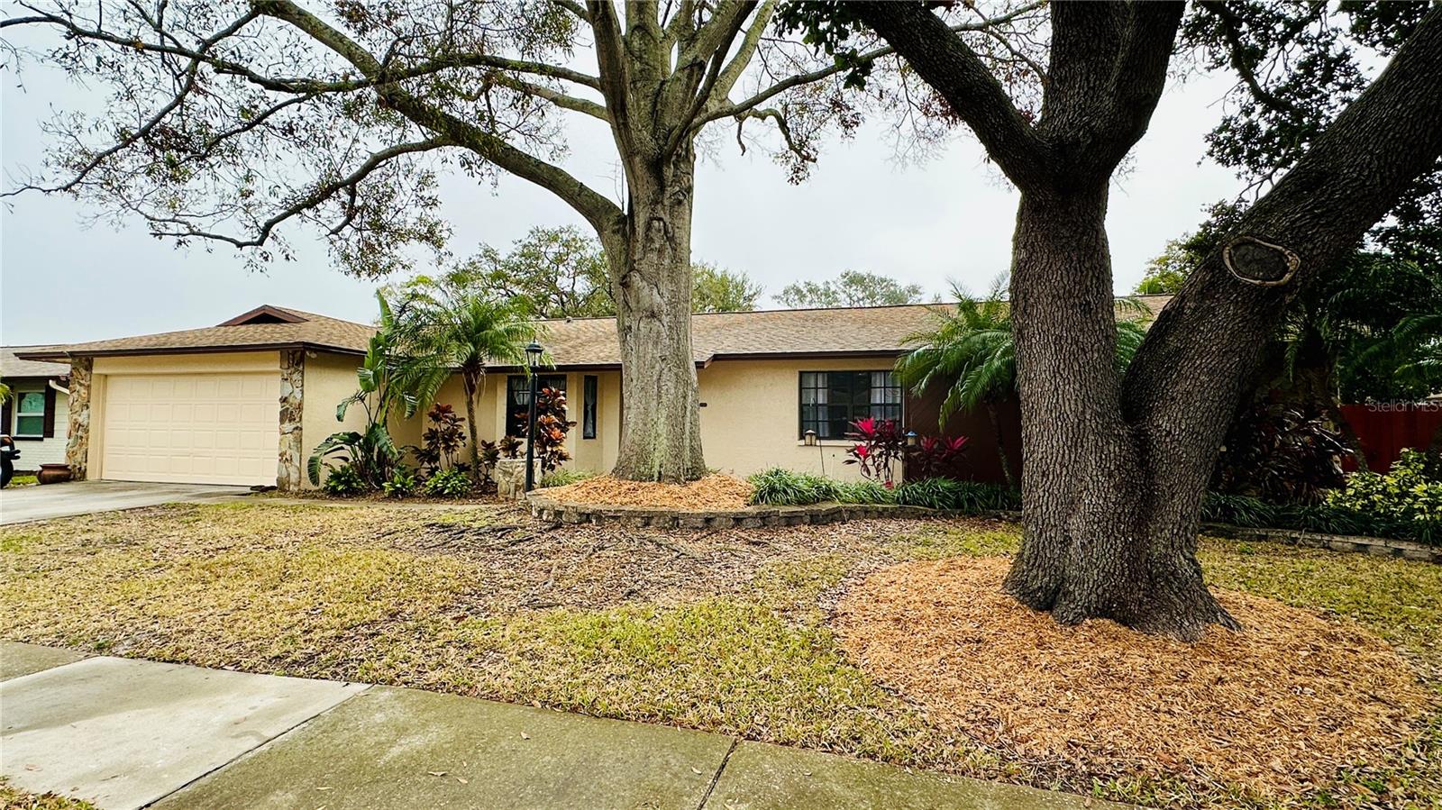 MONTEREY GARDENS - Residential