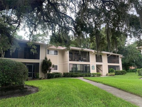 A home in TEMPLE TERRACE