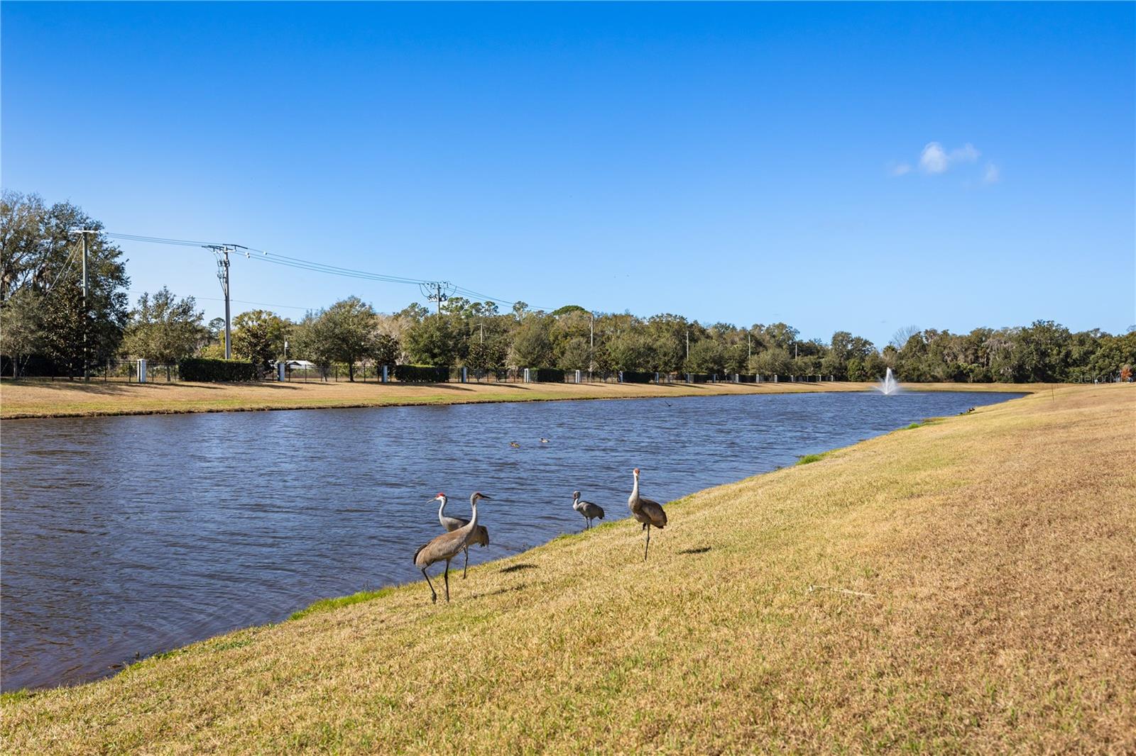 KENSINGTON RESERVE PH II - Residential