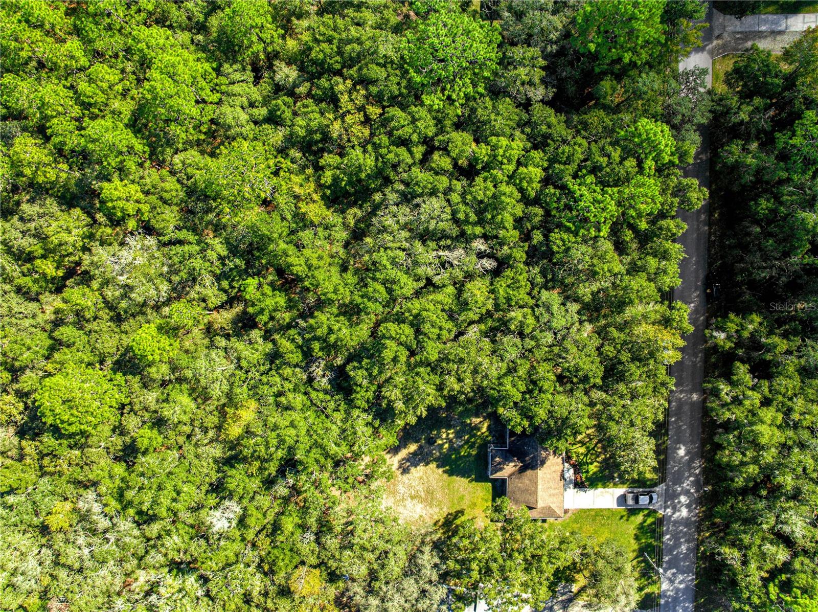 CITRUS HILLS - Residential