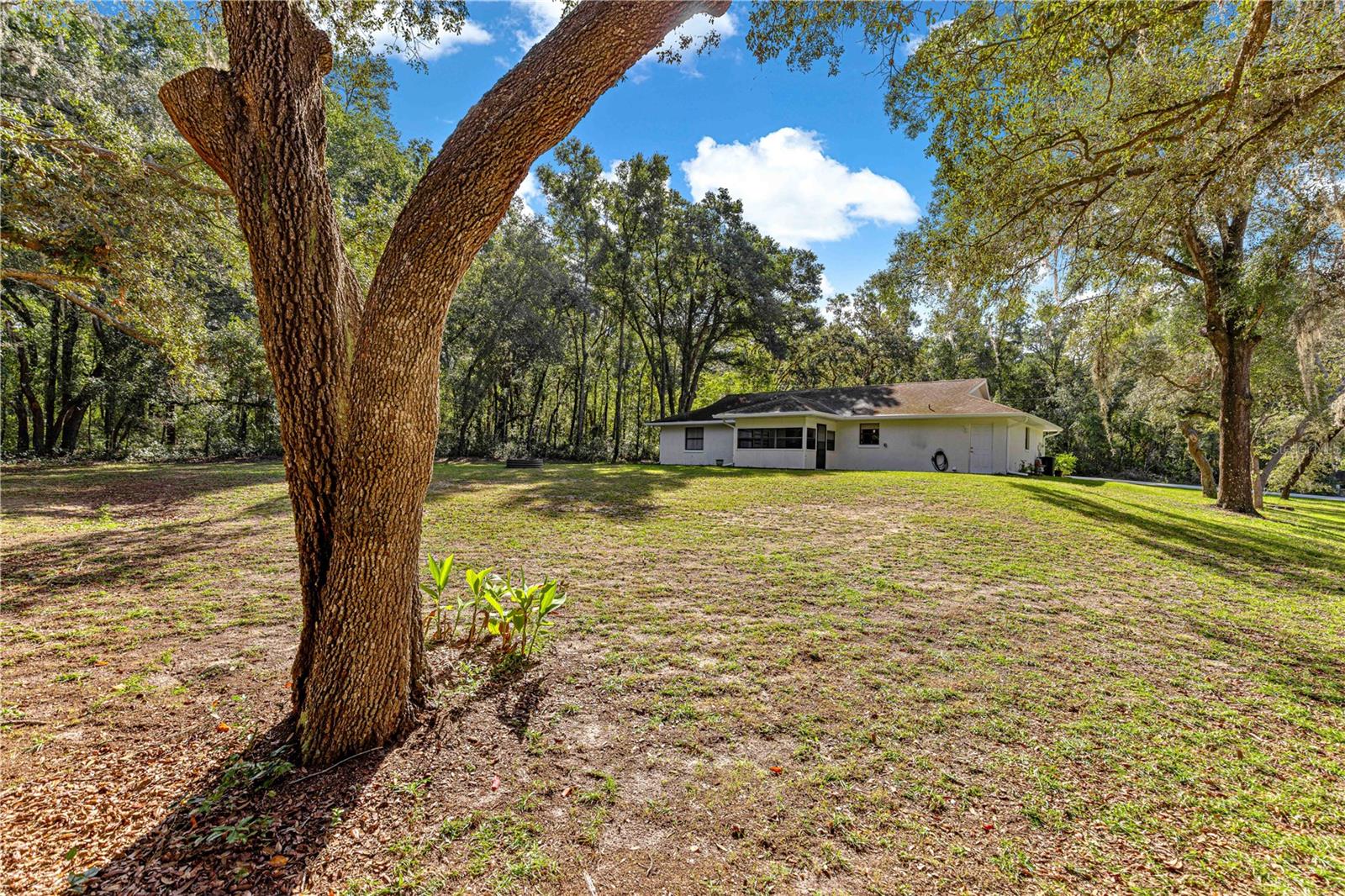 CITRUS HILLS - Residential