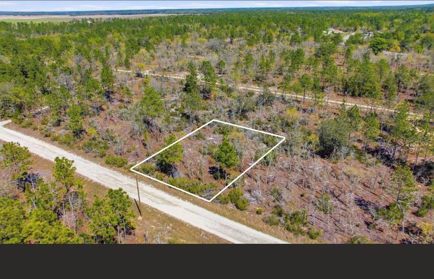 WILLISTON HIGHLANDS GOLF & COUNTRY CLUB ESTATES BUILDING LOT. Electric lines are running along this road. Build your dream home on this beautiful lot nestled in the desirable Williston Highlands Community—where there’s no HOA to limit your vision! Not in a flood zone! Surrounded by natural Florida beauty and just a short drive to town amenities, this is the perfect location for your future home or investment. Listing agent is the owner and will select and pay title fees.