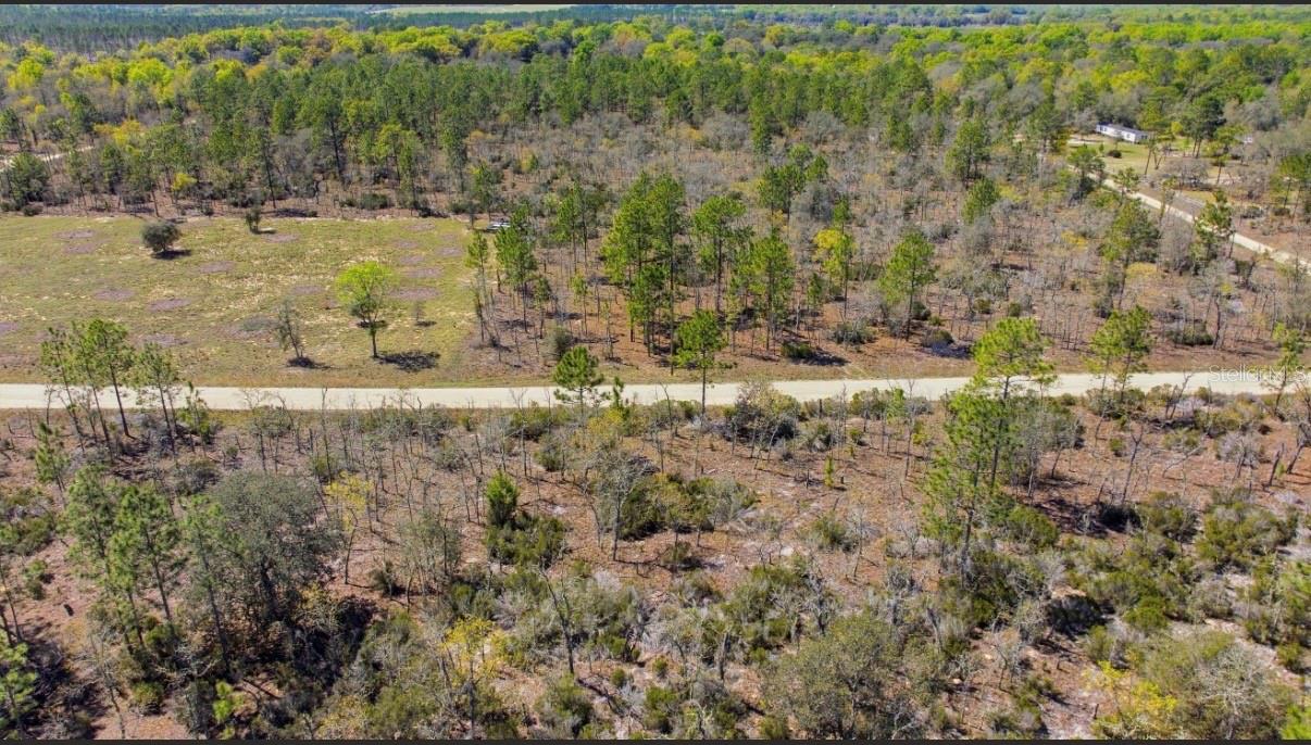 WILLISTON HYLNDS GOLF & C CLUB ESTATE - Land