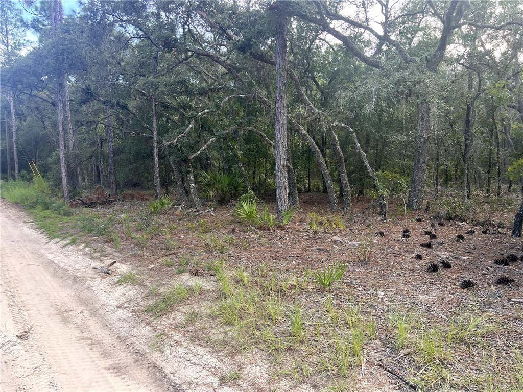 Photo of NE 85th Street, Bronson, FL 32621 (MLS # A4703415)