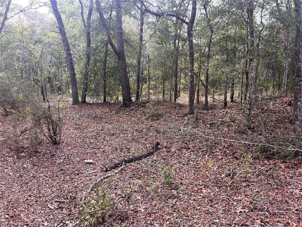 Photo of NE 85th Street, Bronson, FL 32621 (MLS # A4703415)
