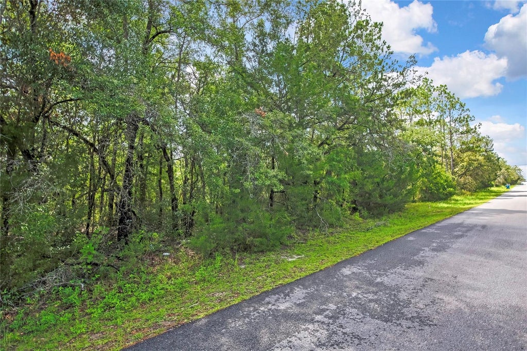 Photo of 0 English Sparrow Road, Weeki Wachee, FL 34614 (MLS # W7887777)