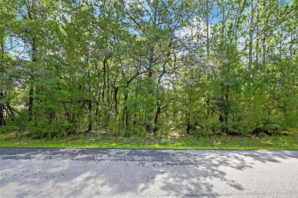 Photo of 0 English Sparrow Road, Weeki Wachee, FL 34614 (MLS # W7887777)