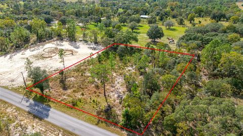 Photo of SE 125th Court, Dunnellon, FL 34431 (MLS # OM710698)