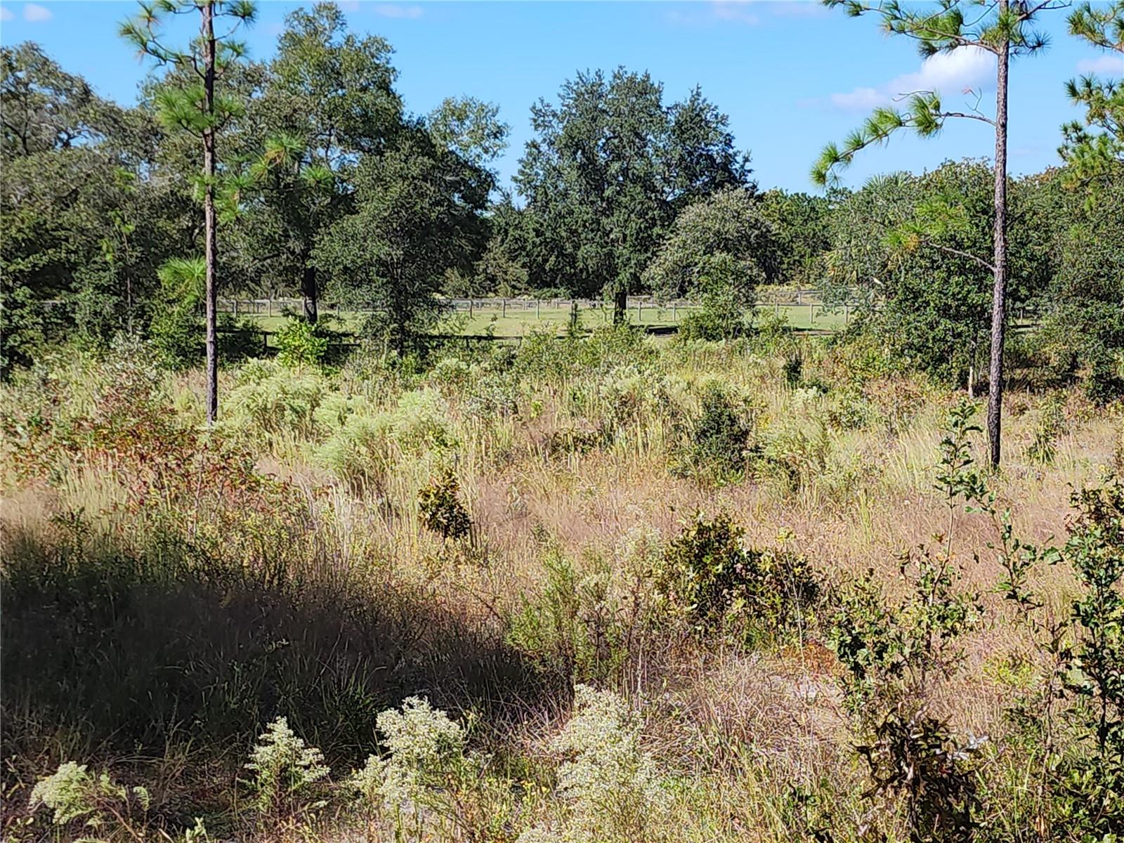 RAINBOW LAKES ESTATE - Land